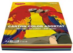 Carton color asortat 10 culori, A4, 240g/mp, 50coli/top, Daco