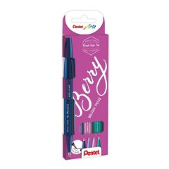 Marker pentru caligrafie, 4culori/set, culori pastel din gradina, Brush Pen Touch Pentel-PESES15B4